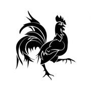 Black Cock