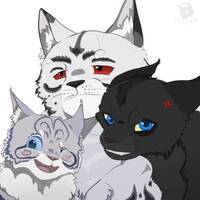 �������� ����