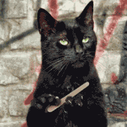 Kinjal Bhatia Kinjal Bhatia