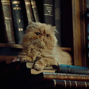 Crookshanks