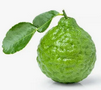 bergamot