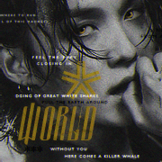 Heewon Yoon