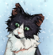 ����� ����