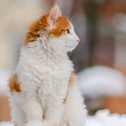 �������