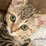 ��������������