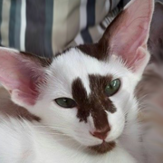 �������