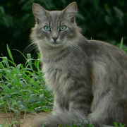 ����������