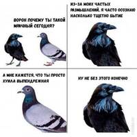 Raven