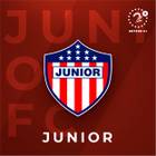 Junior Libbys