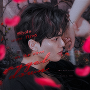 Song Insong