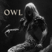 owl