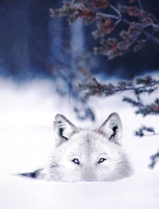 �������������