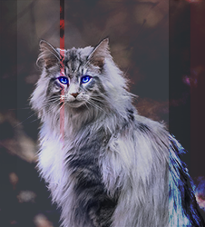 ���������