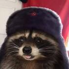 ˸_R4coon