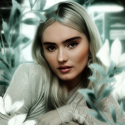 Panam Palmer