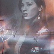 alita rainwater