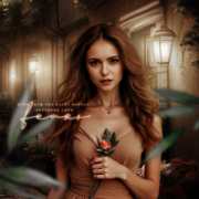 Katherine Pierce