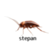 Stefan Salvatore