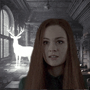 Lily Potter
