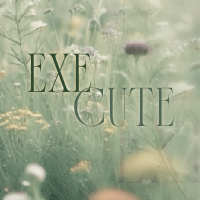 ExeCute