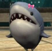 pachirisy