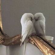 ��������� ��������