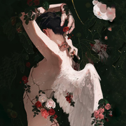 ���������