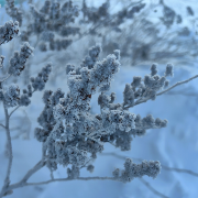 �������