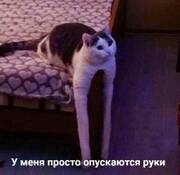 �������� ����������
