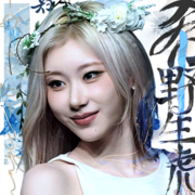 lee chaeryeong