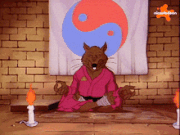 Master Splinter Master Splinter