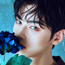 cha eunwoo
