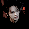 Wen Junhui