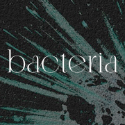 bacteria