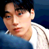 choi san