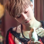 Lu Han
