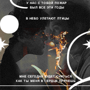 kaidan selwyn