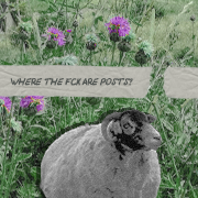 ���