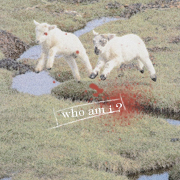 The Witness