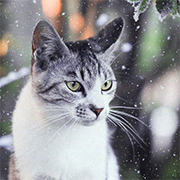 �������