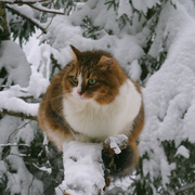 �������