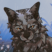 ������������