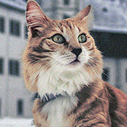 ������������