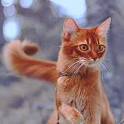 �������