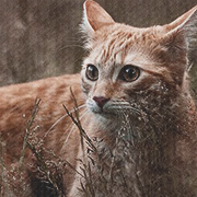 ���������