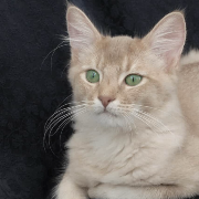 Младший Младший