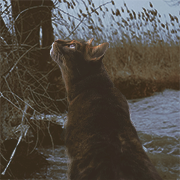 �������