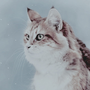 �������