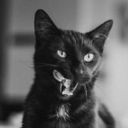 �������