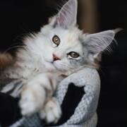 ����������